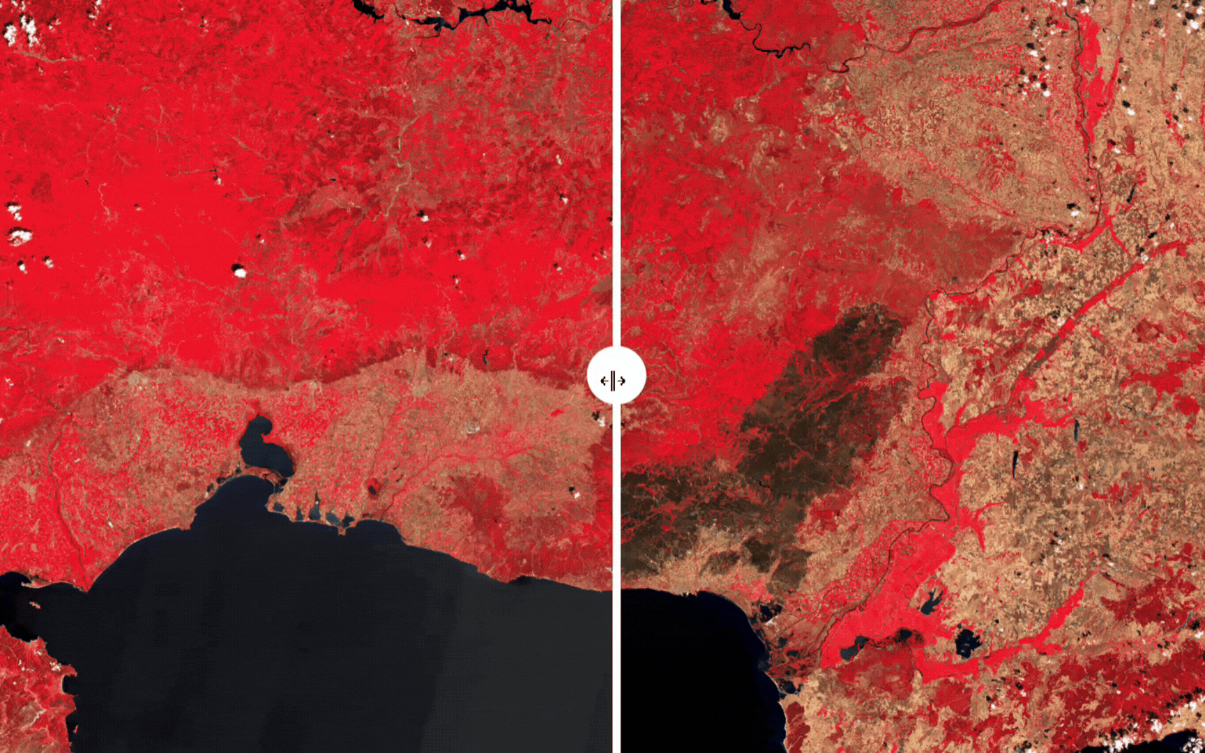 Animated map showing wildfire severity layers and Natura 2000 areas in Evros